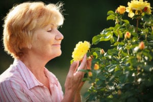 Elderly Care in Matawan NJ Can you imagine going through a day of your life without being able to perceive the smells around you?