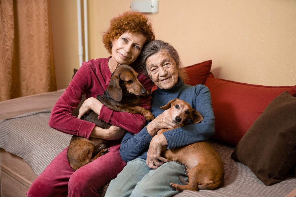 Home Care Assistance Colts Neck, NJ: Winter Activities